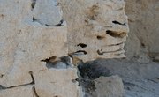 How to Identify Sandstone