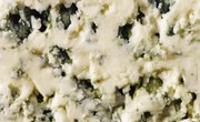How Does Mold Grow on Cheese?