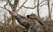 The Best Counties to Hunt on Public Land in Ohio