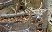 Private Land Open to Public Hunting in Ohio