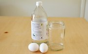 At Home Science: Naked Egg Experiment