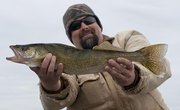 How to Make a Lindy Rig for Walleye Fishing