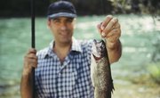 How to Make Homemade Trout Fishing Bait