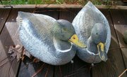 How to Paint Duck Decoys