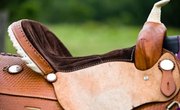How to Fix Leather on Your Saddle Horn
