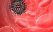 Ideas for Making a 3D Model of a Cell
