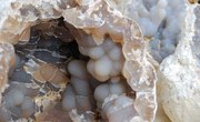 How to Tell the Difference Between a Geode & a Nodule