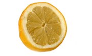 Procedures on How to Make a Lemon Battery