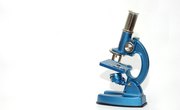 Six Types of Microscopes