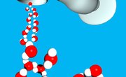 Why Does Water Form Hydrogen Bonds?