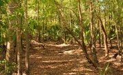 Soil Types in Florida