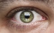 How Light Travels Through the Eye