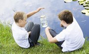Environmental Science Activities for Kids