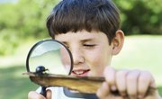 How Do Magnifying Glasses Work?