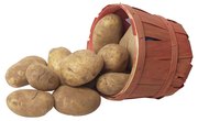 Contents of the Potato That Can Conduct Electricity