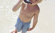 Shallow Snorkeling Sites for Kids in Florida
