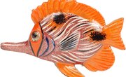 How to Make a 3-D Fish Model