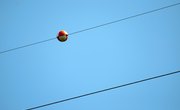 What Are the Red Balls on Power Lines?