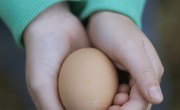 How Does Salt Water Make an Egg Float?