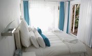 Natural Enemies of Bedbugs