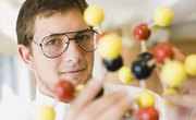 What Are Nucleic Acids Made Of?