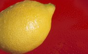 How to Build a Simple Lemon Battery