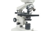 How Do Bright Light Microscopes Work?