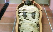 In Ancient Egypt, What Did They Put in a Mummy's Stomach?