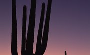 Does Arizona Tax Federal Retirements?