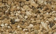 What Is Vermiculite?