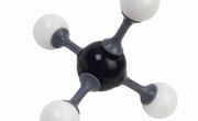 What Is the Most Abundant Organic Compound on Earth?