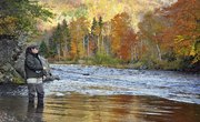 When to Fish for Salmon in Michigan?