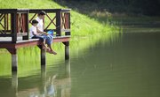 Catfish Fishing Ponds in Alabama