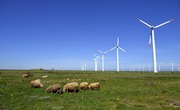 Ways to Conserve Wind Energy
