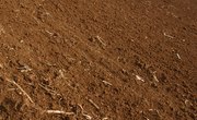Fun Facts About Topsoil & Subsoil