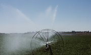Small Sprinkler Irrigation Models for School Projects