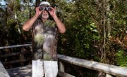 Human Effect on the Florida Keys Ecosystem
