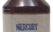Examples of Bioaccumulation With Mercury