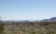 Pollution of the Mojave Desert