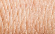 What is the Life Span of Skin Cells?