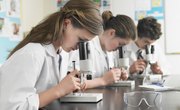 Fun High School Science Experiments