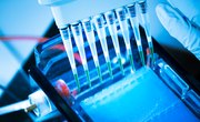 The Disadvantages of Gel Electrophoresis