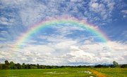 What Are the Colors in the Rainbow?