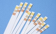 What Do the Colors Indicate on a pH Test Strip Paper?