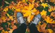 Why Do Leaves Change Color In Fall?