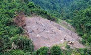 How Have Humans Affected Our Planet's Biodiversity in Both Positive & Negative Ways?