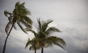 What Are the Characteristics of a Tropical Storm?