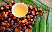 The Oily Truth About Palm Oil