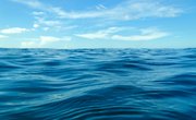 Open Ocean Facts for Kids