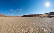 Abiotic Factors of a Desert Ecosystem